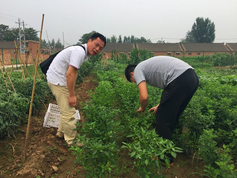 好利來郭總喊您來摘菜啦！綠色無公害，放心！